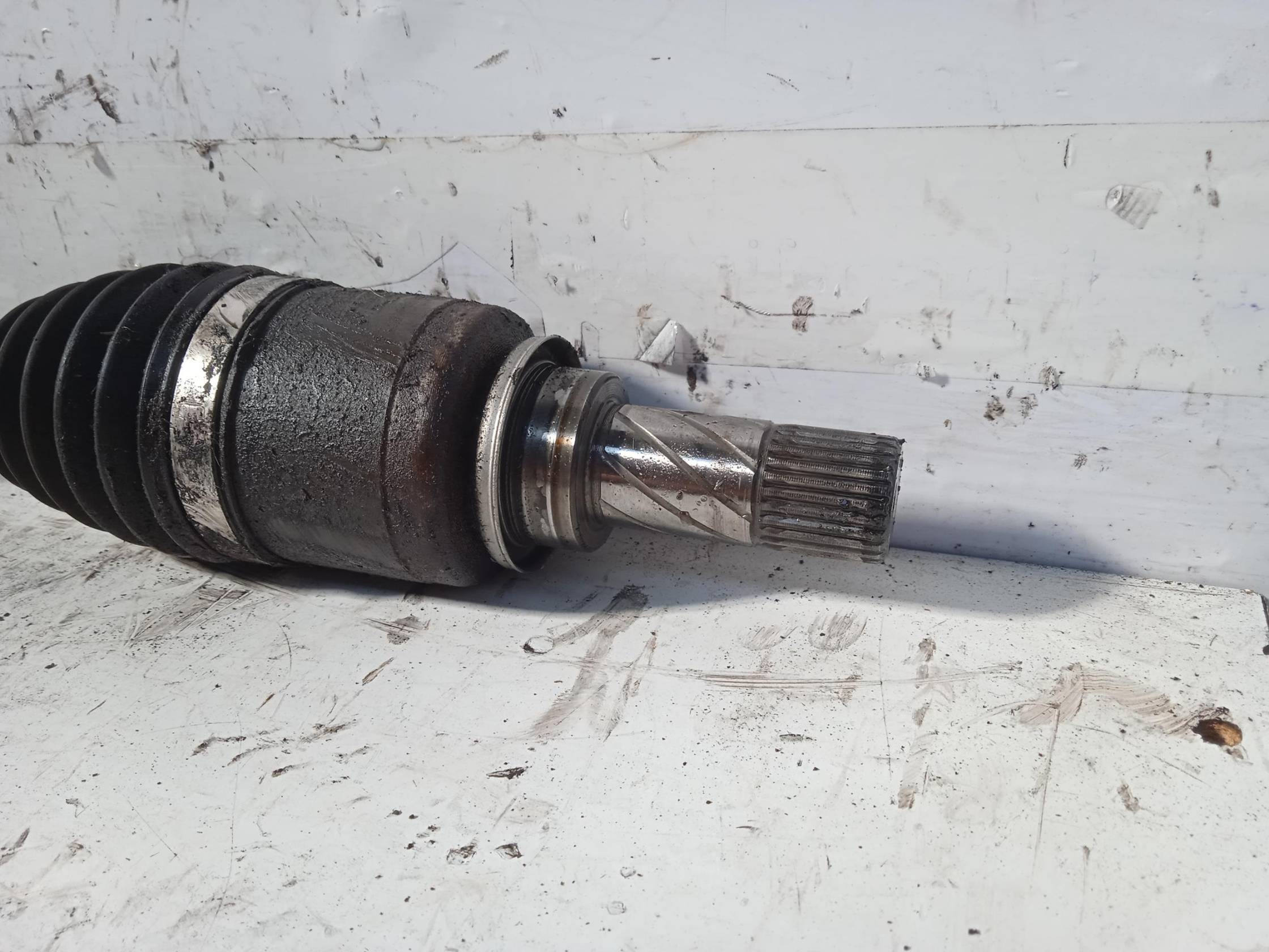 Semialbero ant. compl. sx.